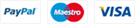 Immagine icone di pagamento: Visa, MasterCard, PayPal e Stripe